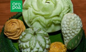 Карвинг для начинающих – учимся делать картины из овощей и фруктов | Вдохновение ()