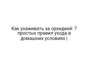 Как ухаживать за орхидеей: 7 простых правил ухода в домашних условиях |